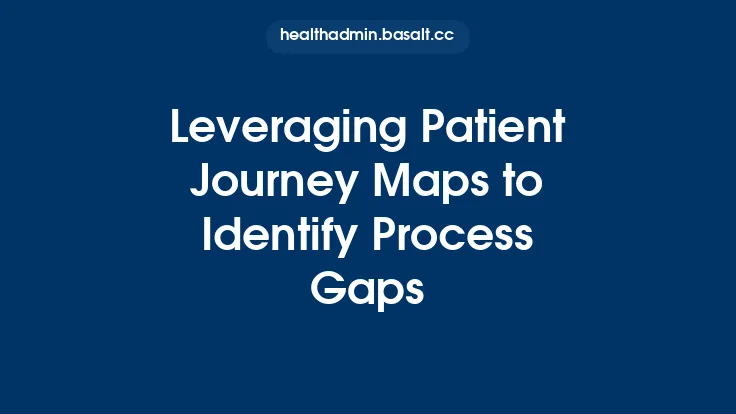 Leveraging Patient Journey Maps to Identify Process Gaps Thumbnail